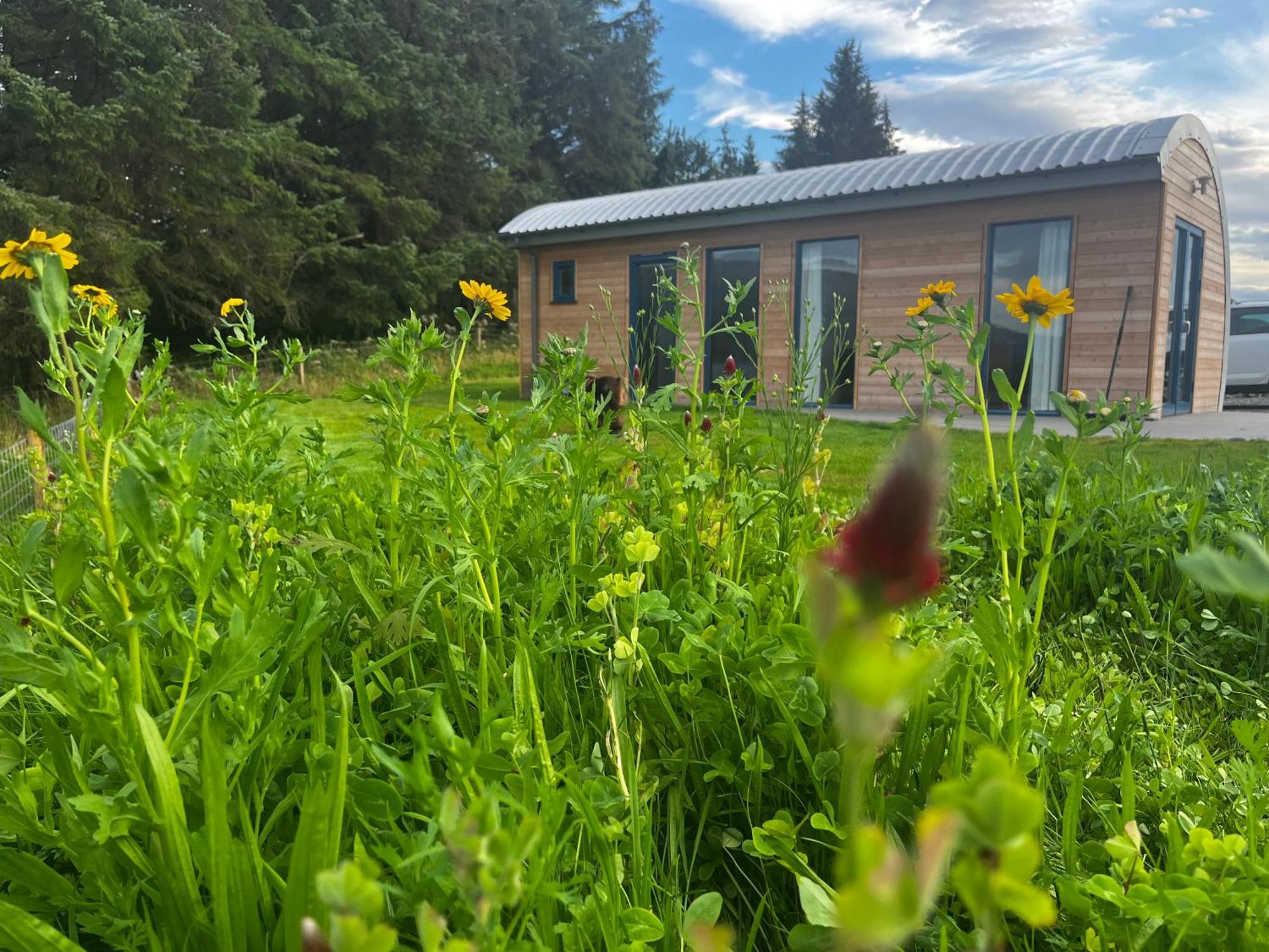 Ceo Mara Croft B&B & 2 Luxury Cabins Taynuilt Exteriér fotografie