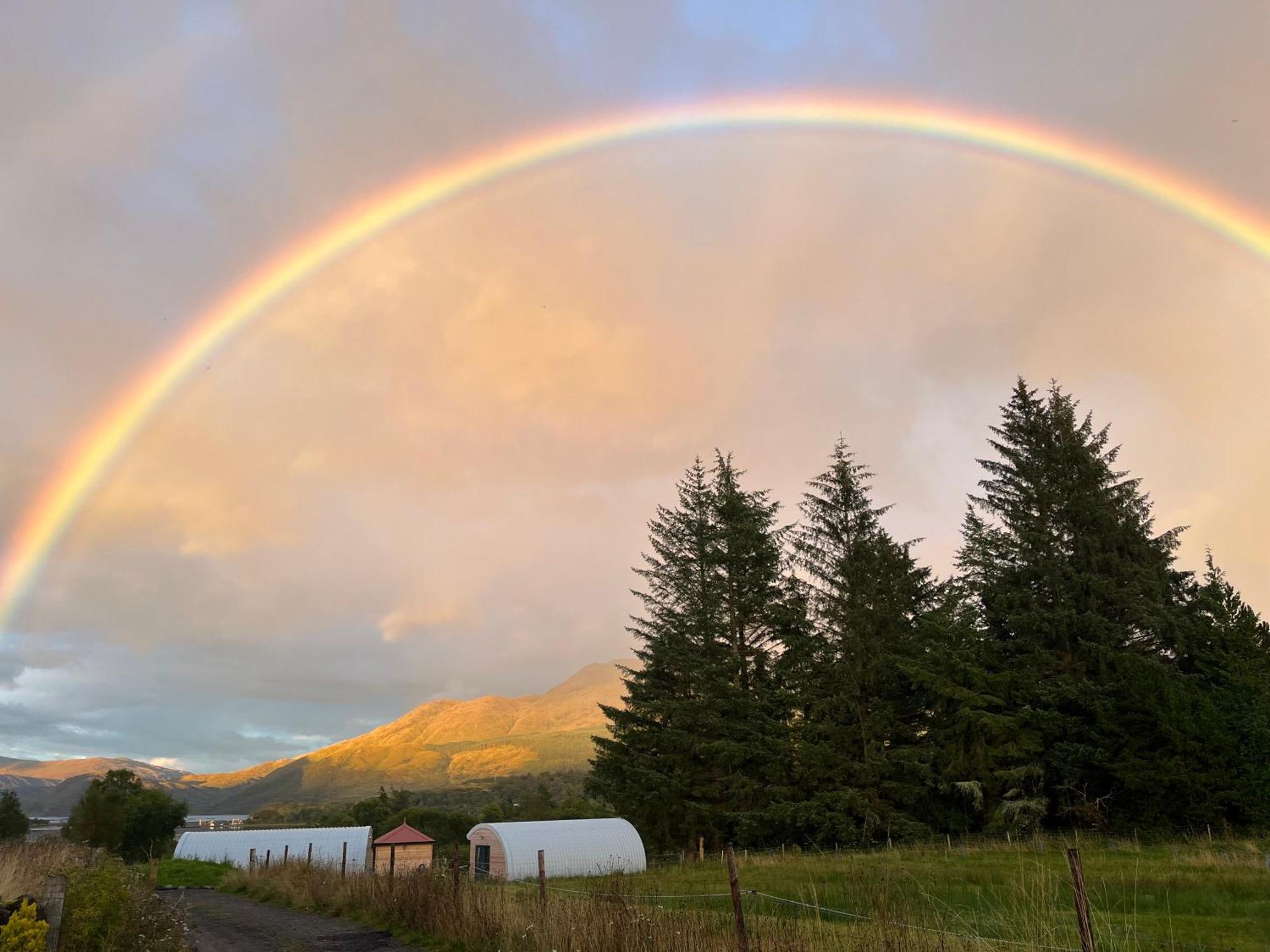 Ceo Mara Croft B&B & 2 Luxury Cabins Taynuilt Exteriér fotografie